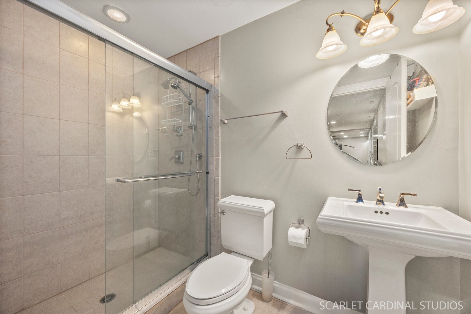 219 N Fremont Street, Naperville, IL 60540
