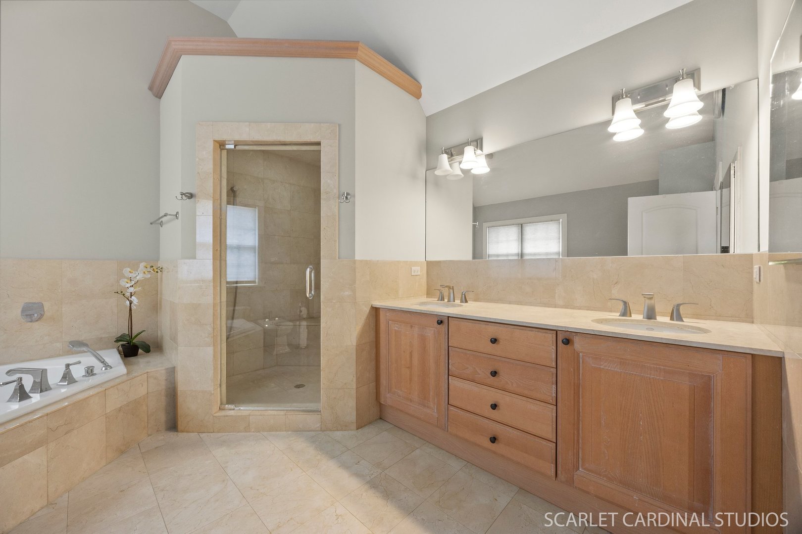 219 N Fremont Street, Naperville, IL 60540