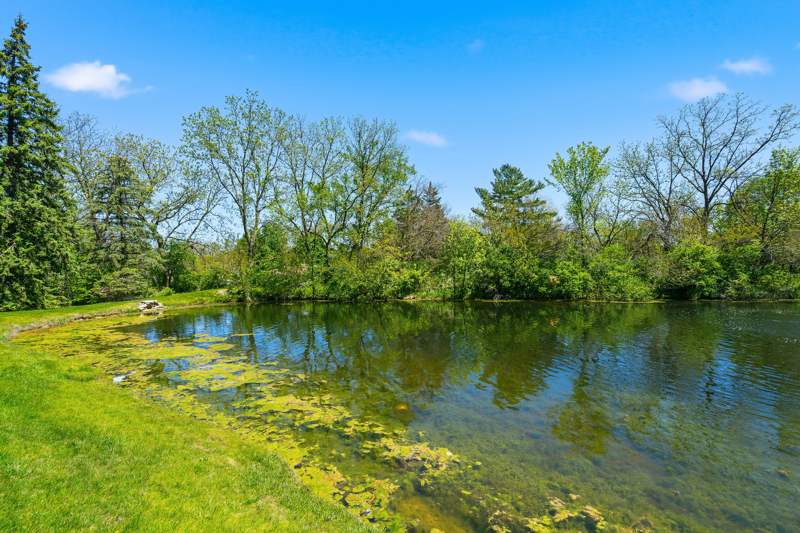 14337 S Provencal Drive, Homer Glen, IL 60491