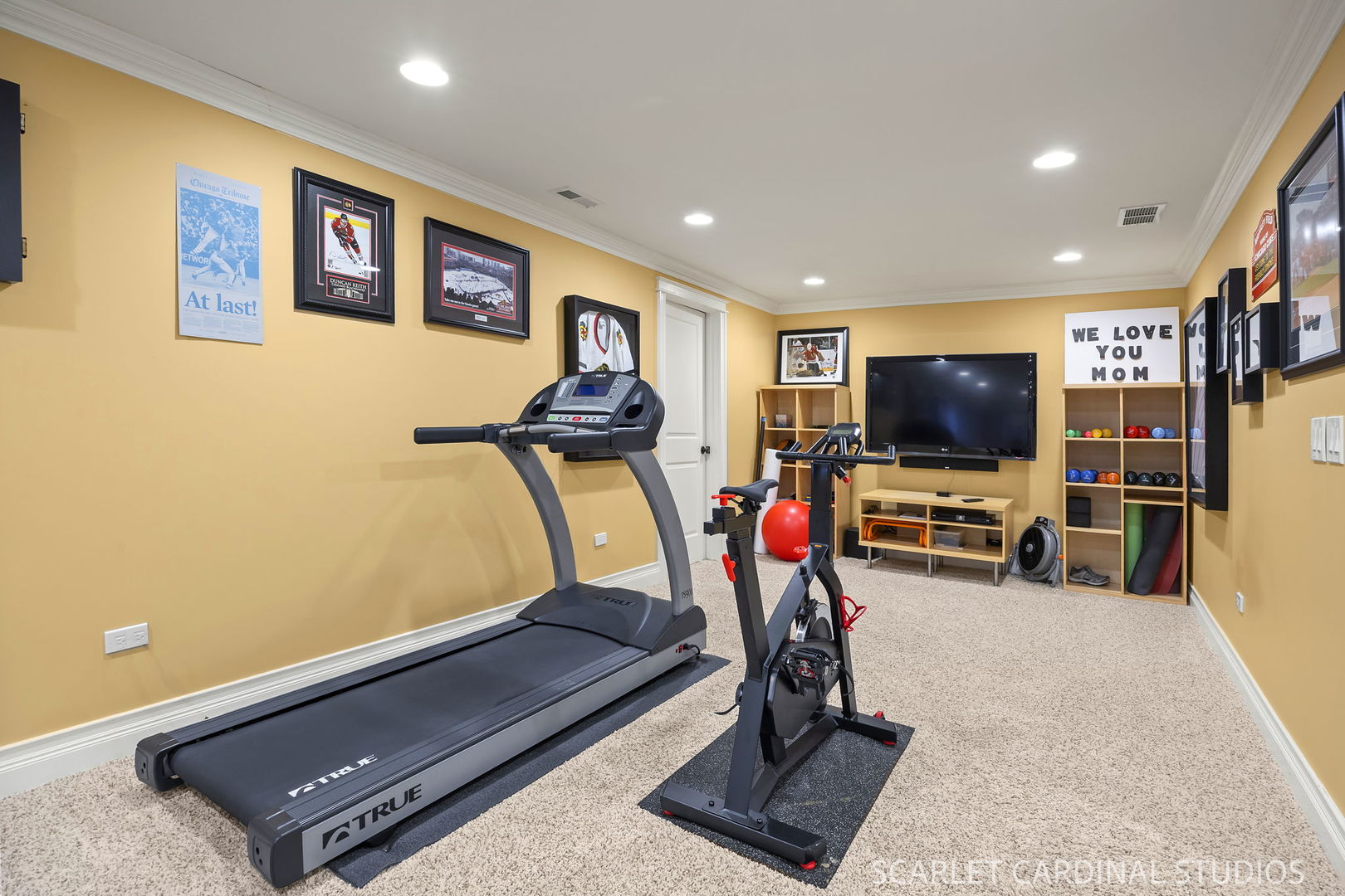 532 Turf Lane, Wheaton, IL 60187