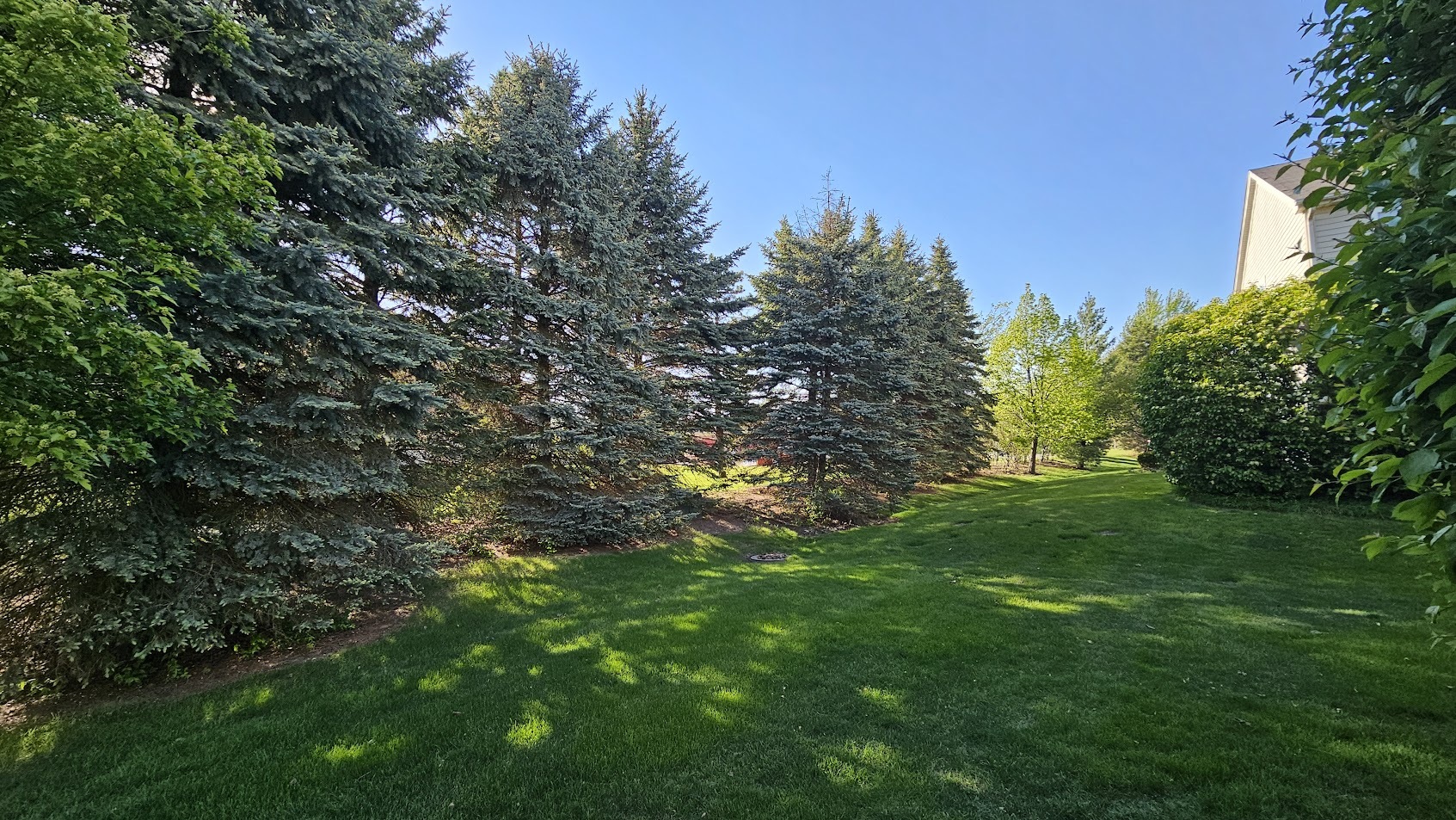 3623 Roanoke Avenue, Carpentersville, IL 60110