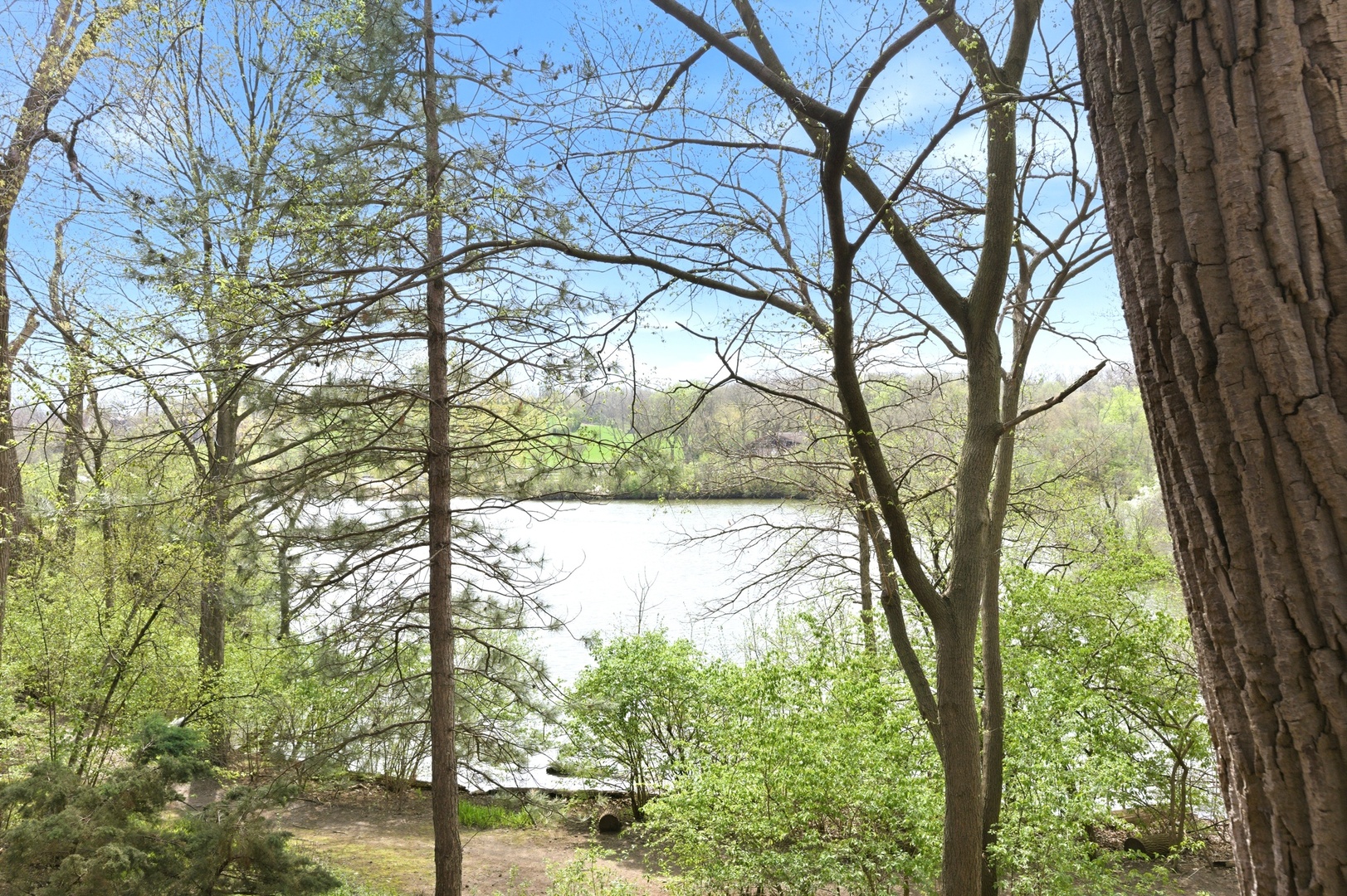 5511 E Lake Drive #D, Lisle, IL 60532