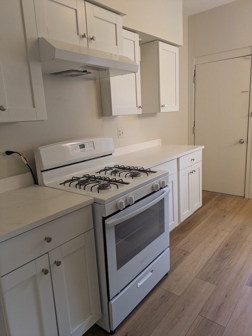 103 E 1 ST Street #2S, Elmhurst, IL 60126