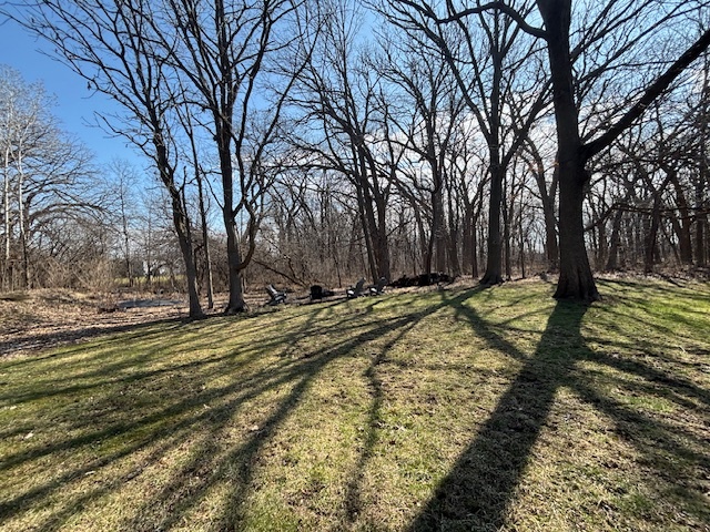 33993 N Treeline Court, Grayslake, IL 60030