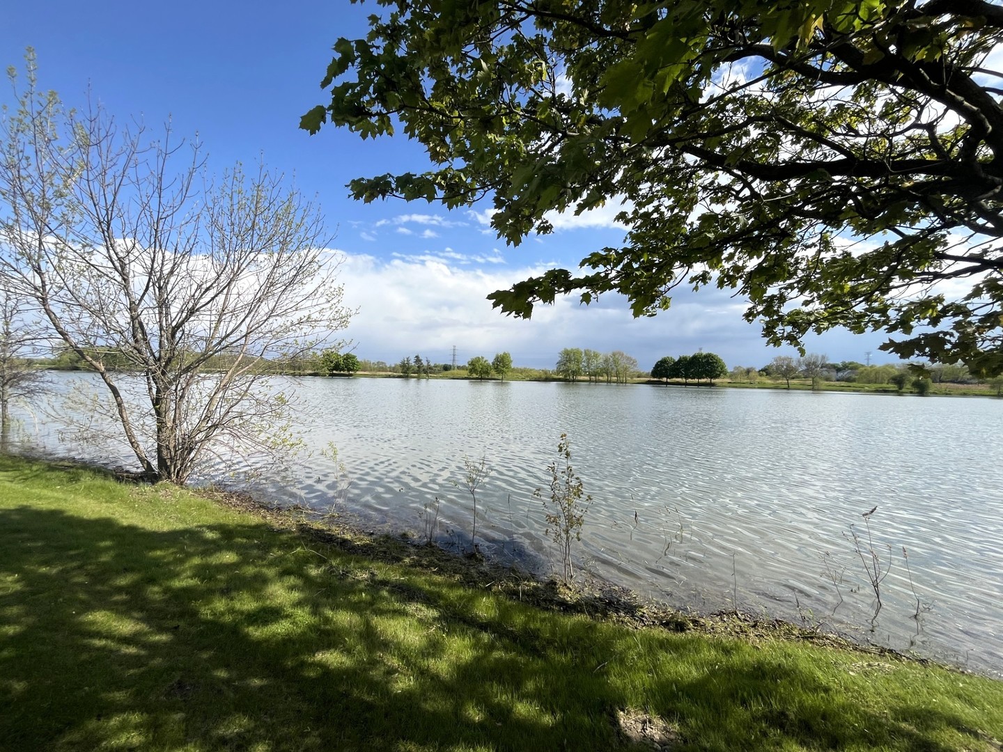 337 W CALDWELL Drive, Round Lake, IL 60073