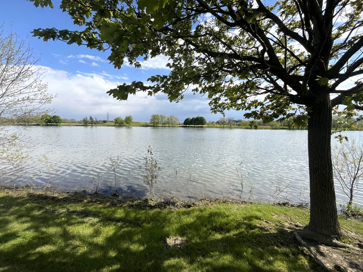337 W CALDWELL Drive, Round Lake, IL 60073