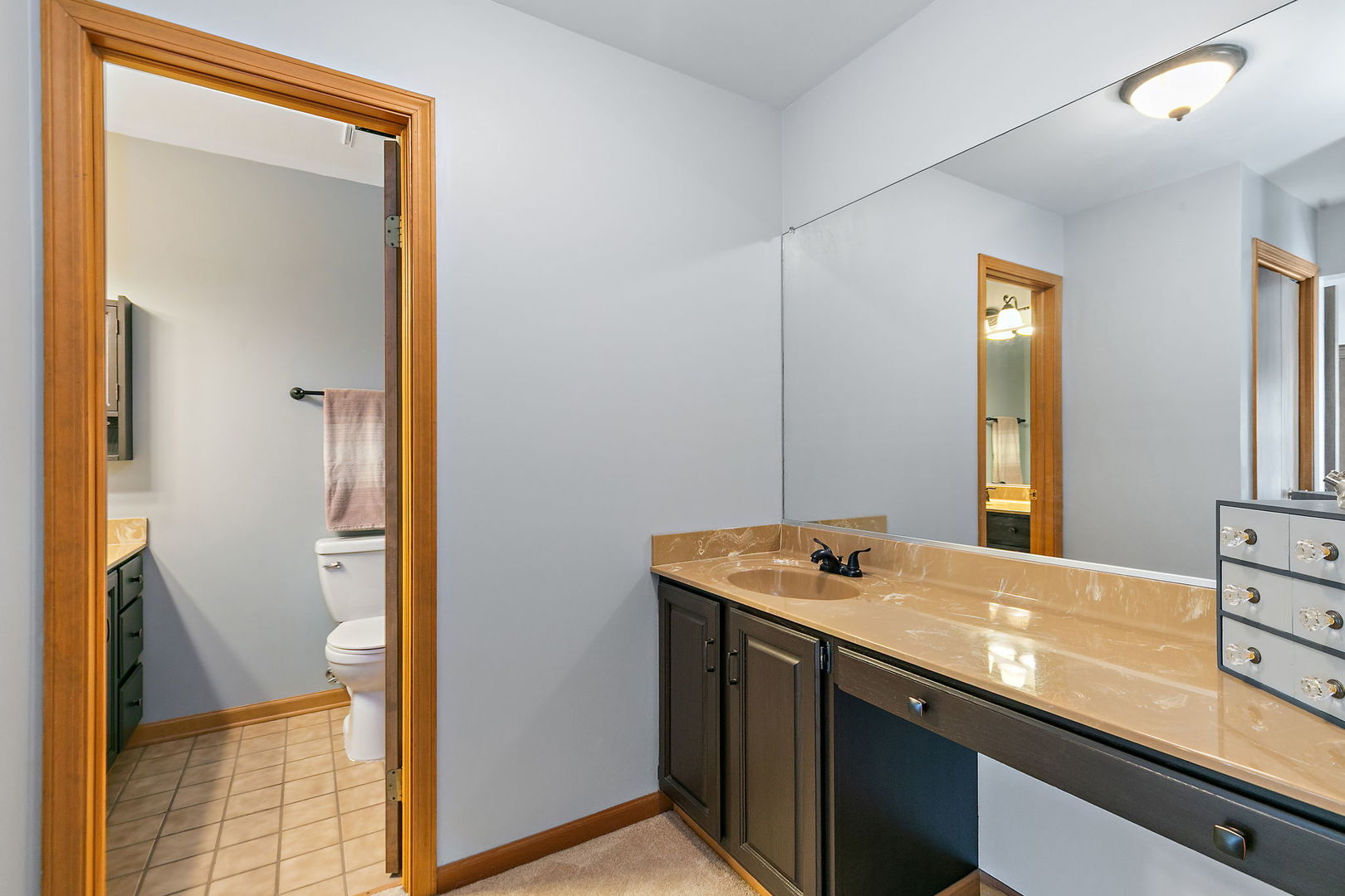 1045 Helen Drive, Algonquin, IL 60102