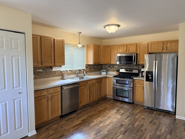 513 Pheasant Chase Drive, Bolingbrook, IL 60490