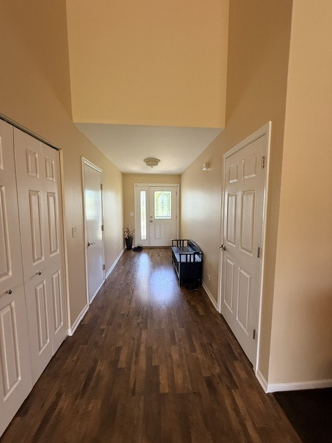 513 Pheasant Chase Drive, Bolingbrook, IL 60490