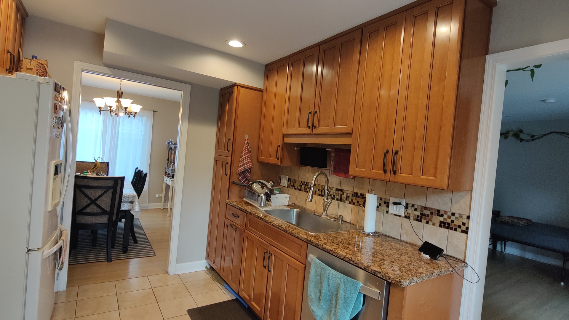223 Willow Lane, Bloomingdale, IL 60108