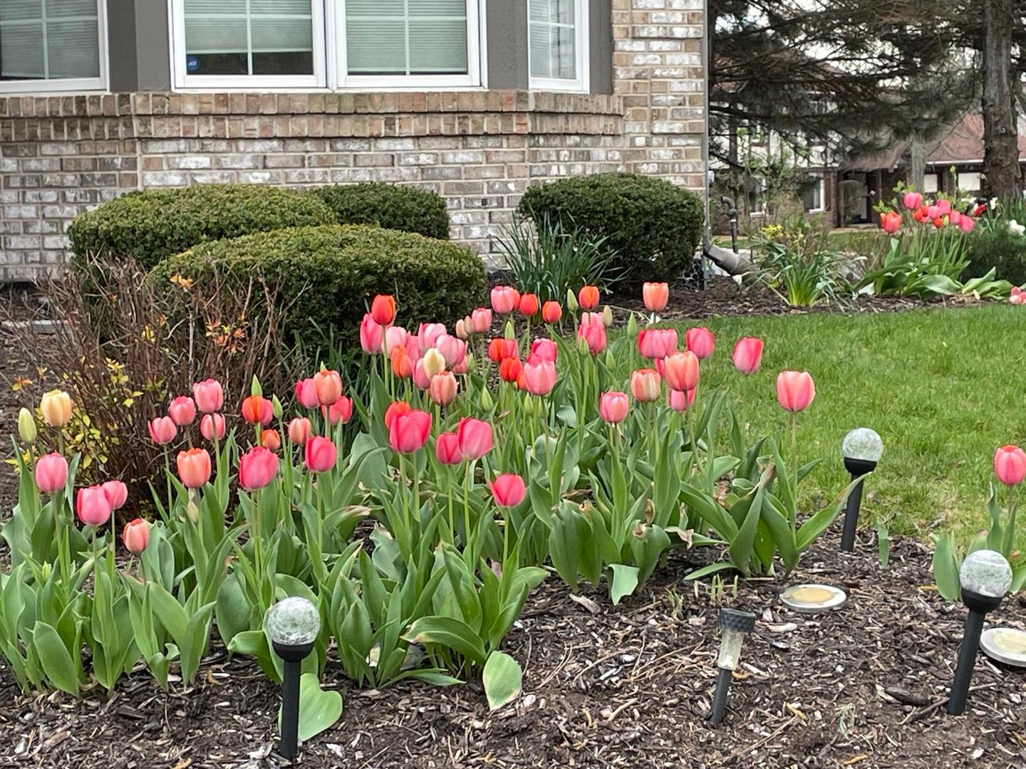 8629 Nancy Lane, Orland Park, IL 60462
