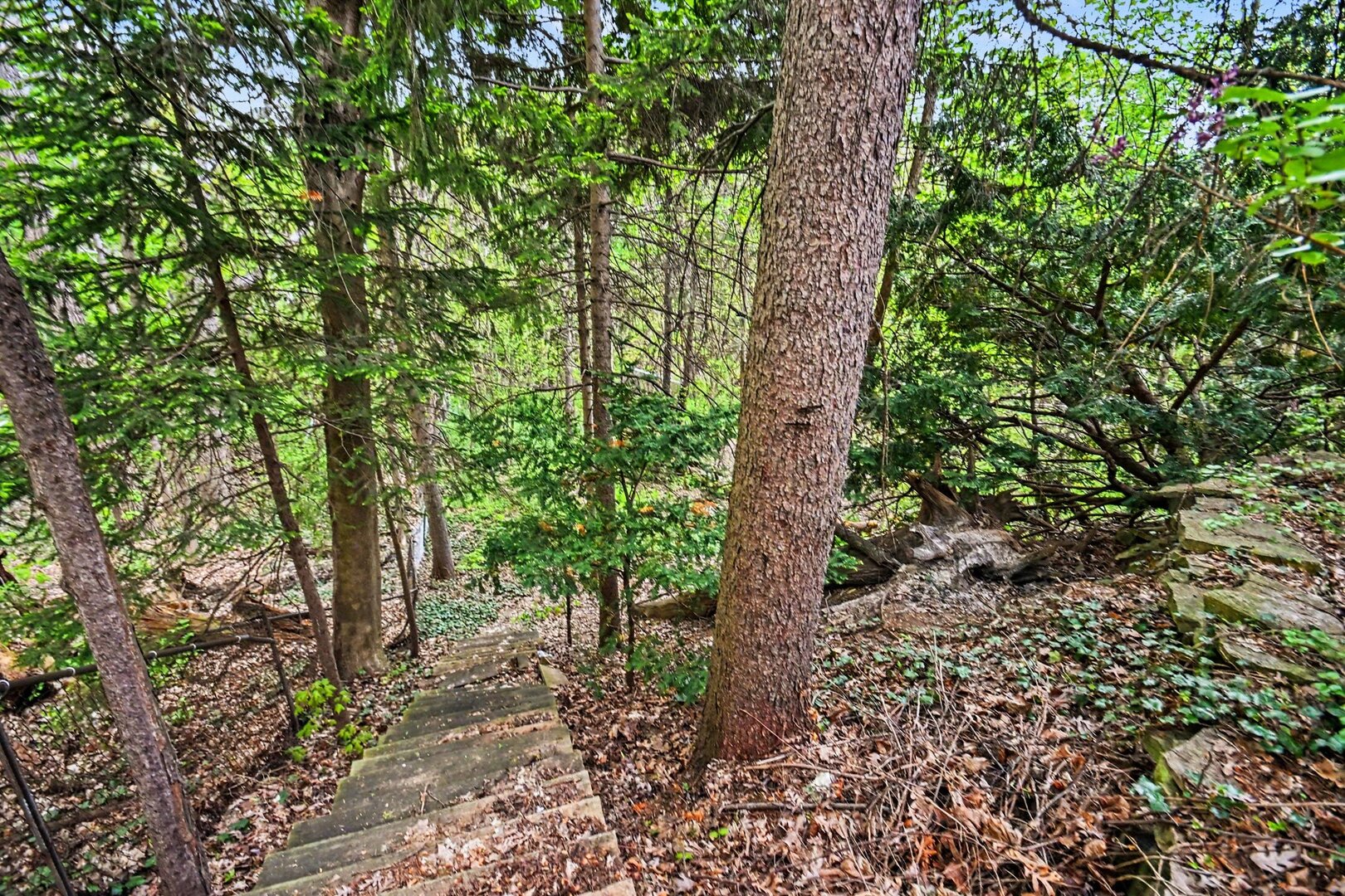 1006 Rogers Court, Waukegan, IL 60085