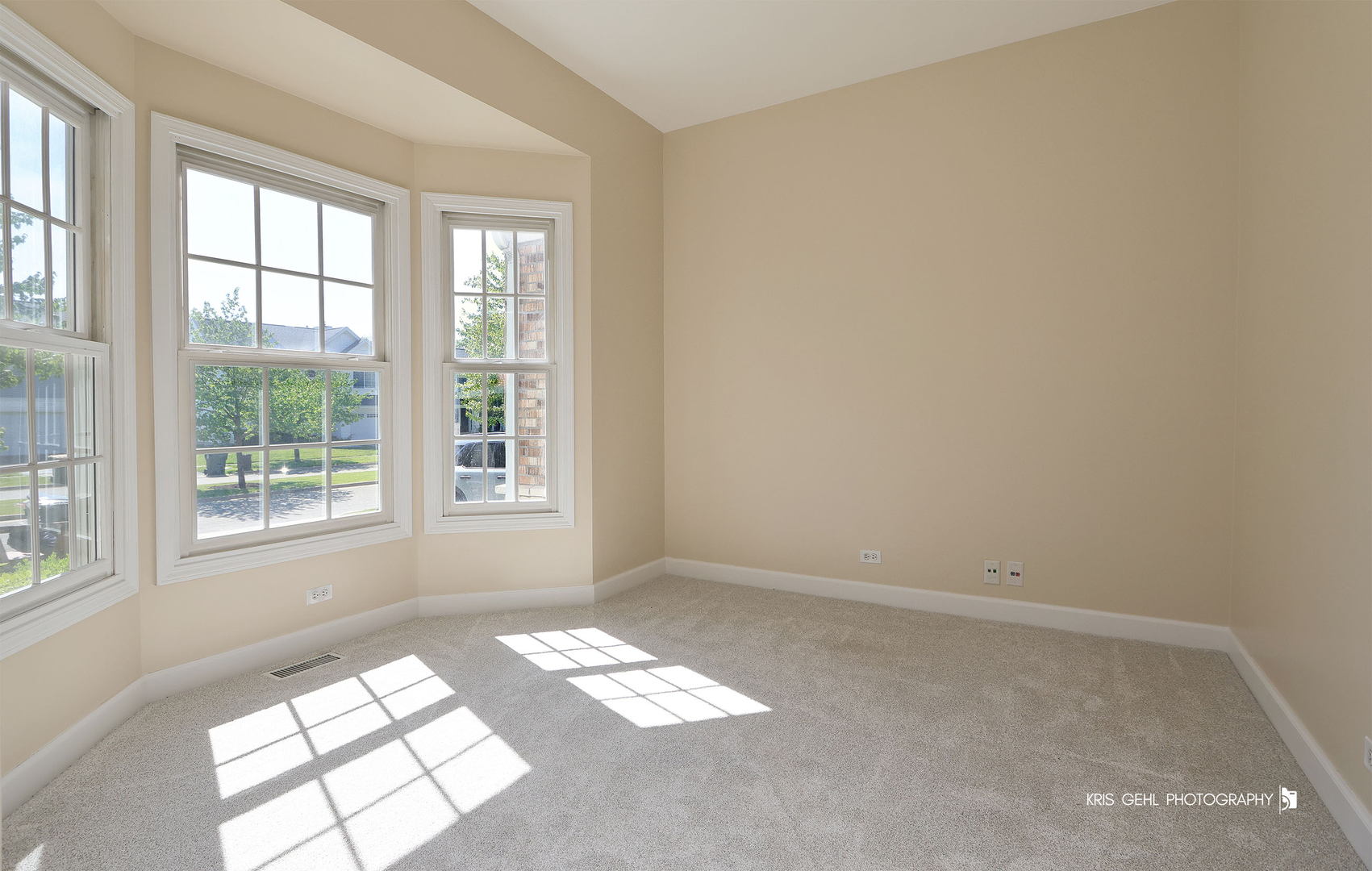 1096 Chesapeake Boulevard, Grayslake, IL 60030
