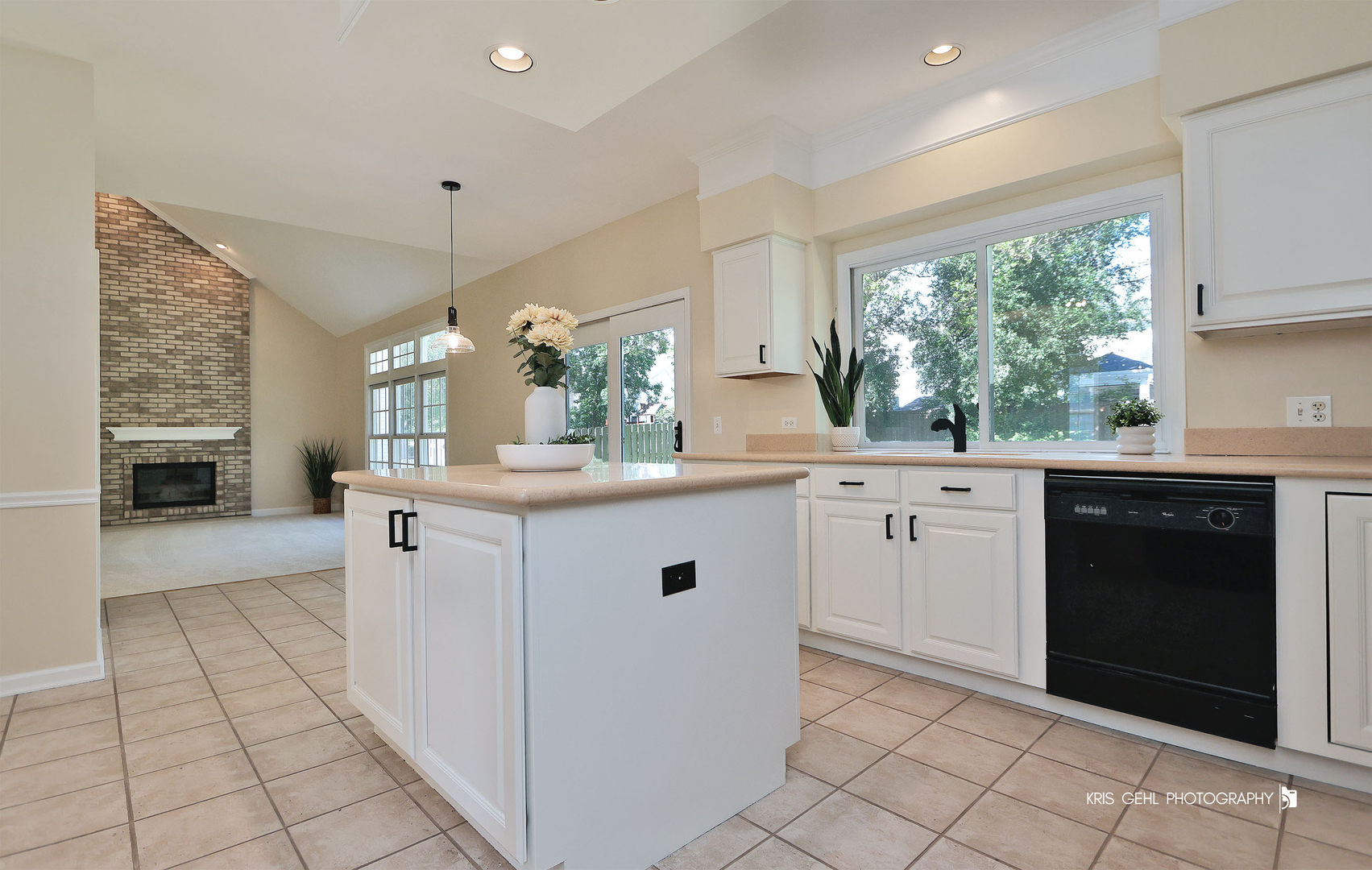 1096 Chesapeake Boulevard, Grayslake, IL 60030