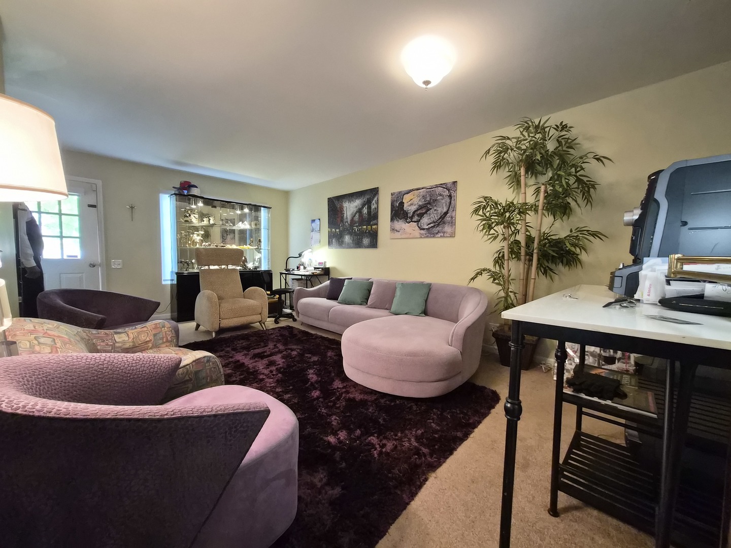 1516 Normantown Road #1516, Naperville, IL 60564