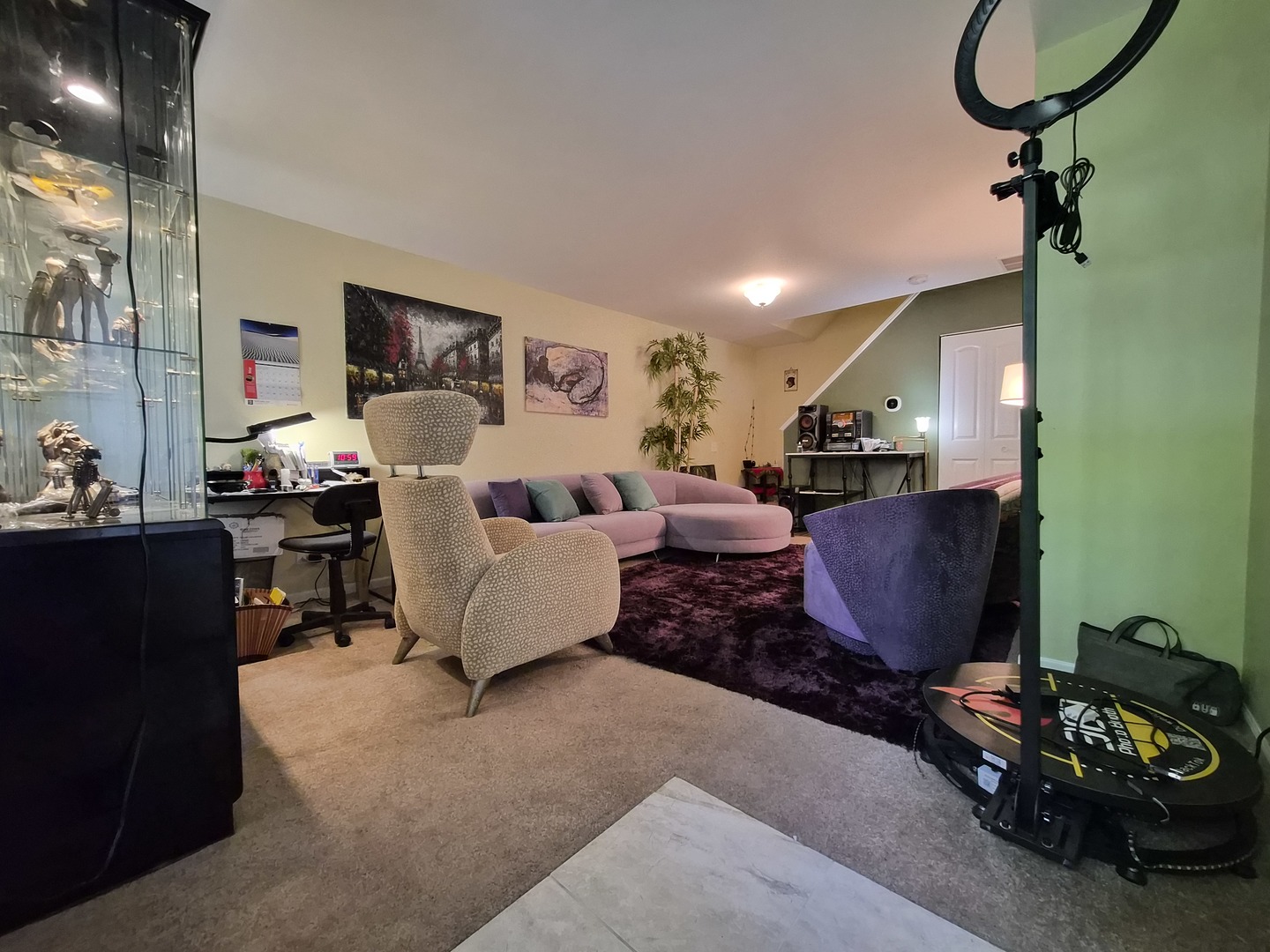 1516 Normantown Road #1516, Naperville, IL 60564