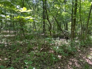 3501 Beckwith Lane, Crete, IL 60417
