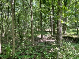 3501 Beckwith Lane, Crete, IL 60417