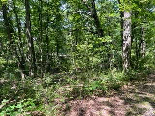 3501 Beckwith Lane, Crete, IL 60417