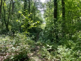 3501 Beckwith Lane, Crete, IL 60417