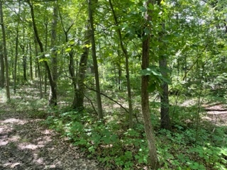 3501 Beckwith Lane, Crete, IL 60417
