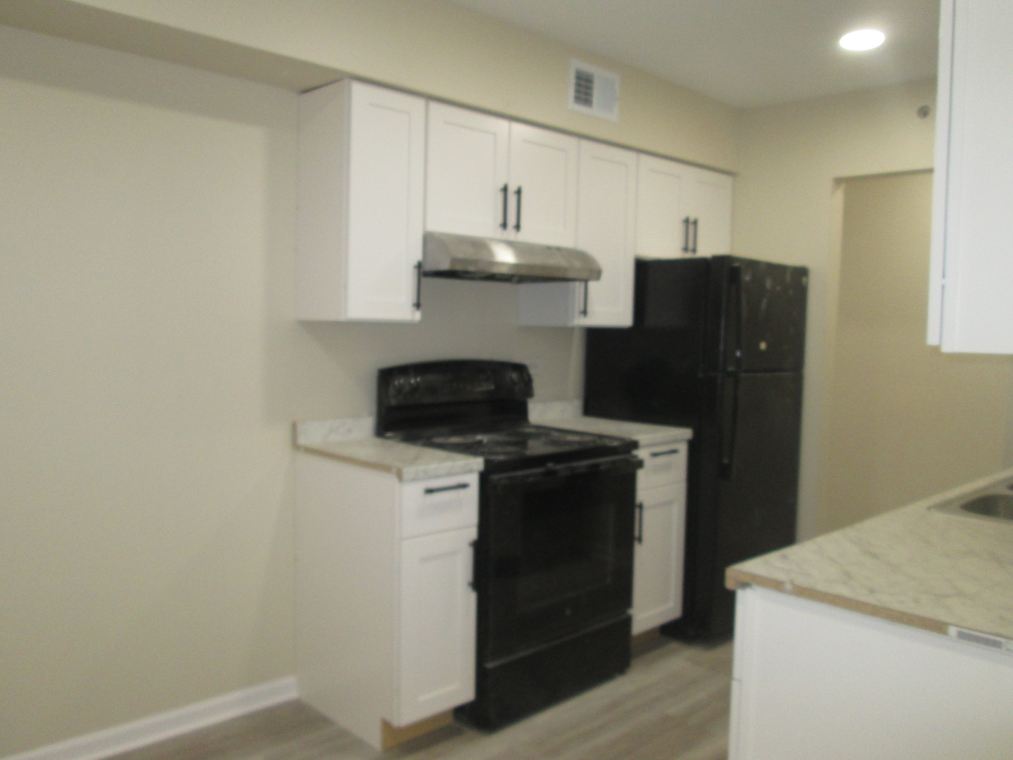 920 CASEY Court #4, Schaumburg, IL 60173