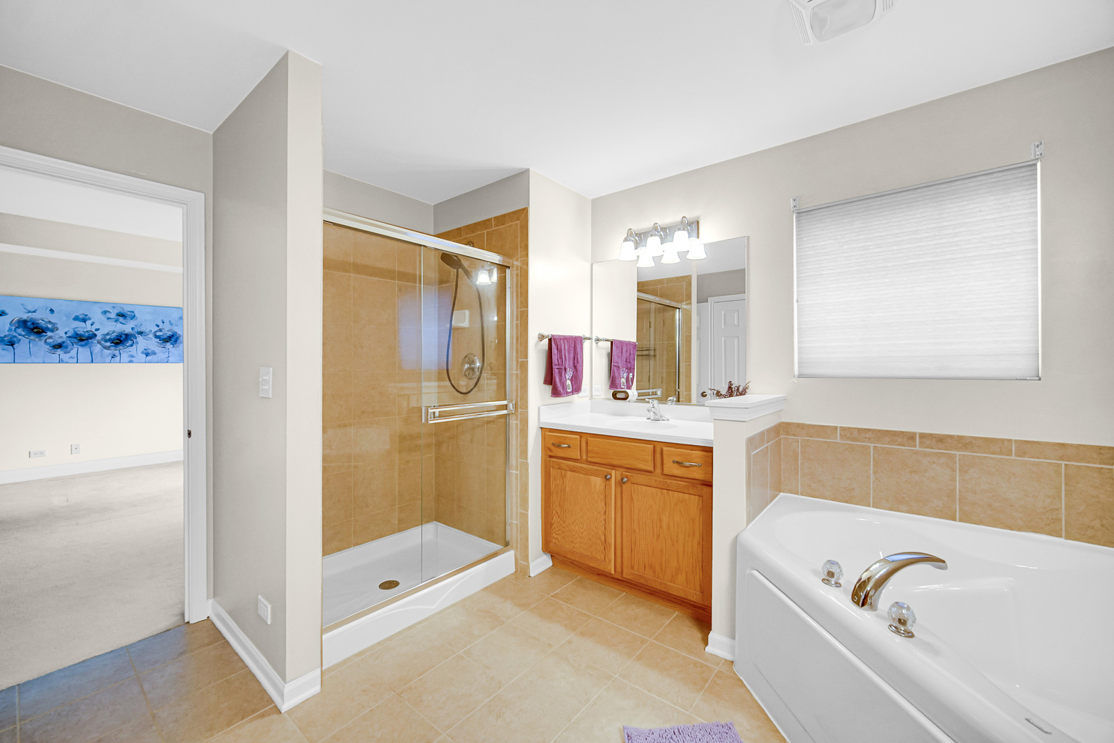 322 Montabello #322, Bloomingdale, IL 60108