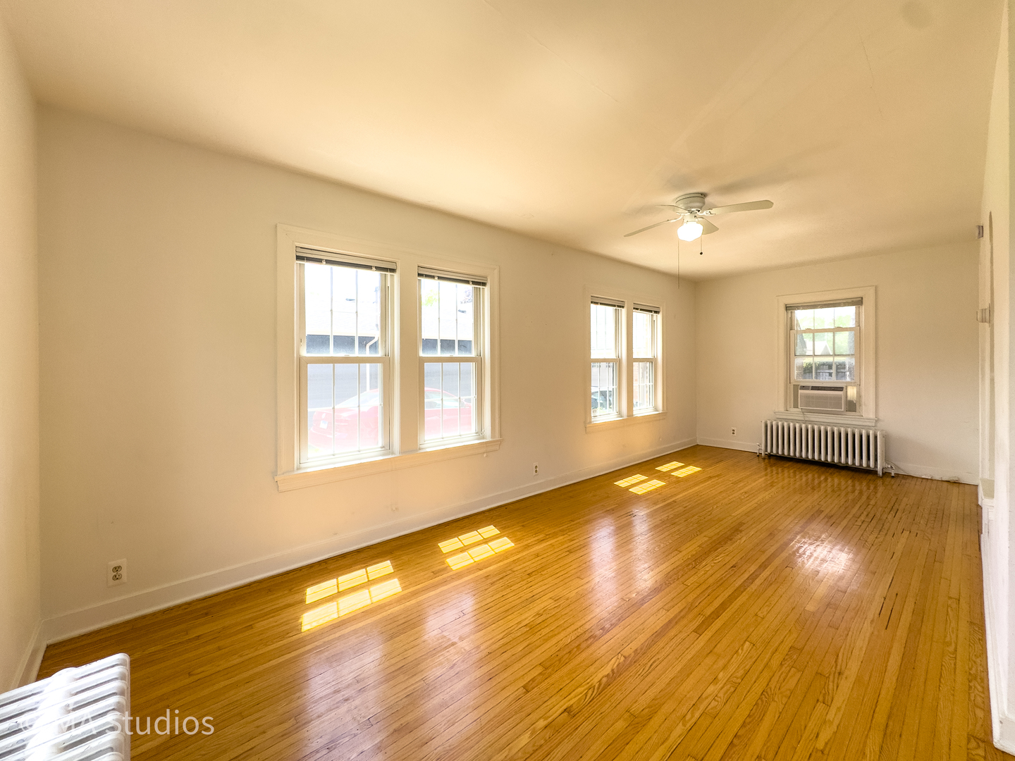 216 Wilcox Avenue, Elgin, IL 60123