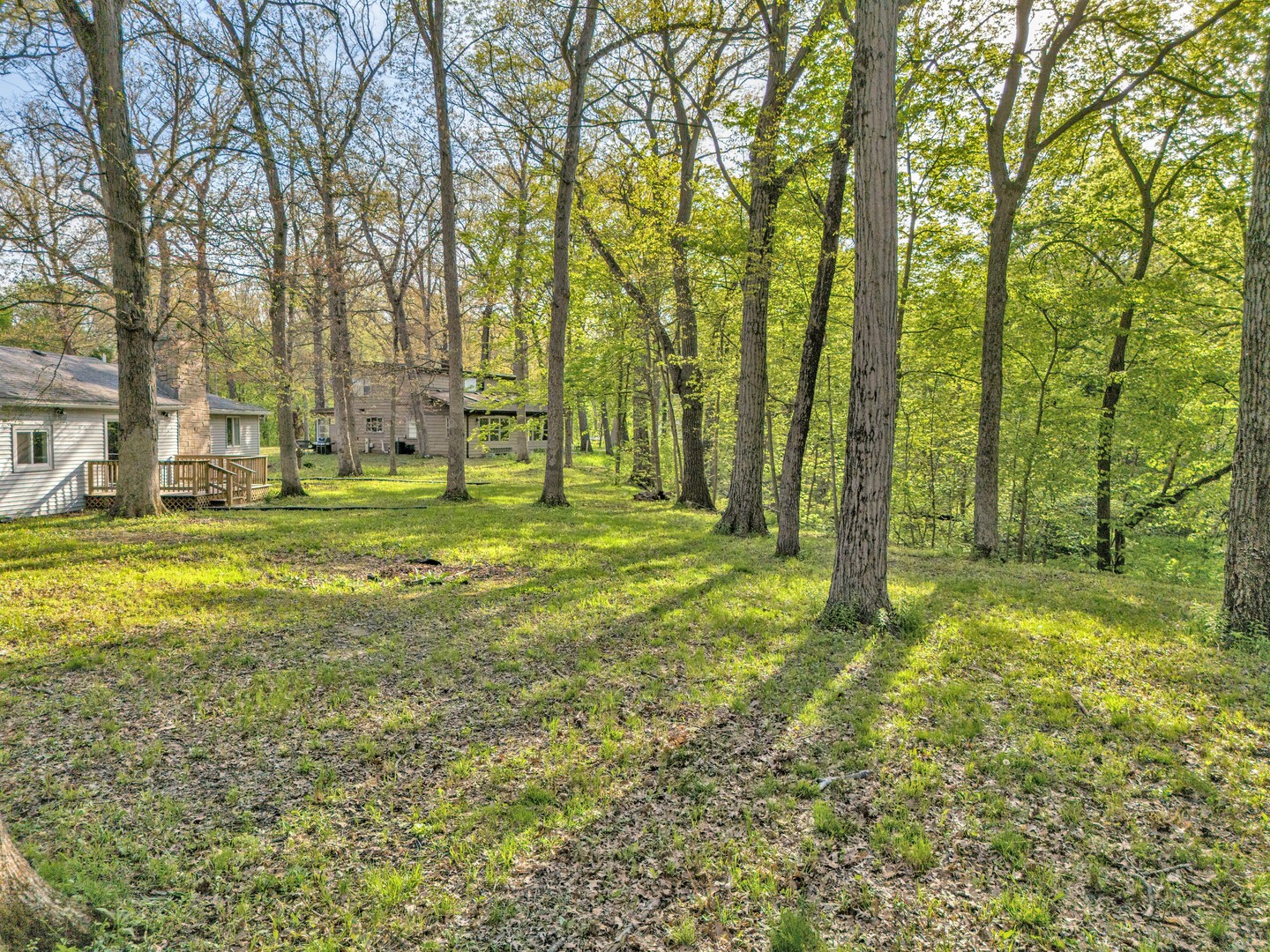 5458 W Timberlane Road, Monee, IL 60449