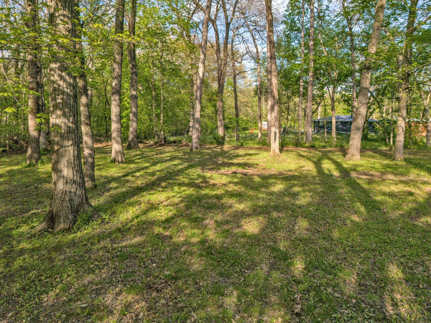 5458 W Timberlane Road, Monee, IL 60449