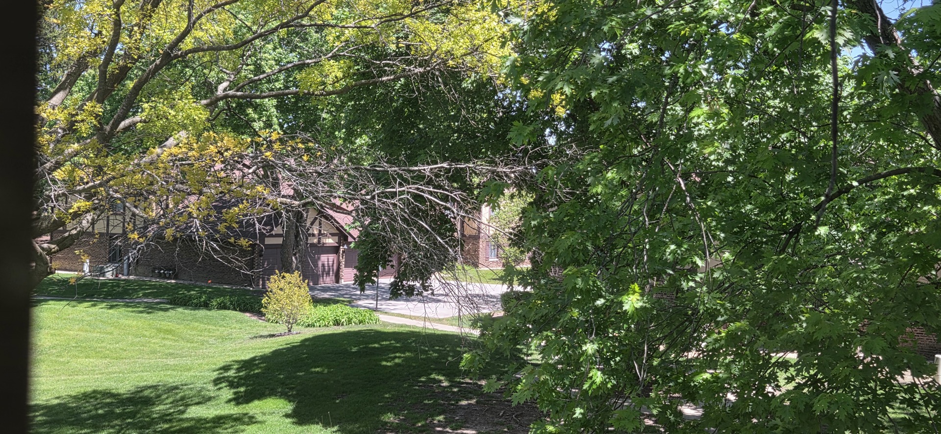 1751 Plymouth Court #B, Wheaton, IL 60189