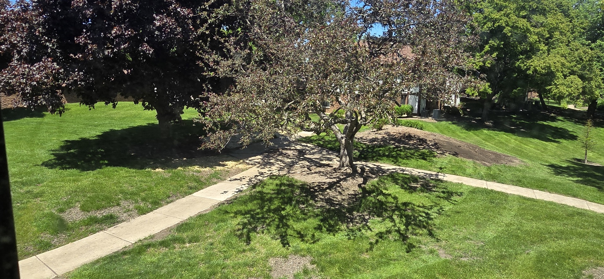 1751 Plymouth Court #B, Wheaton, IL 60189
