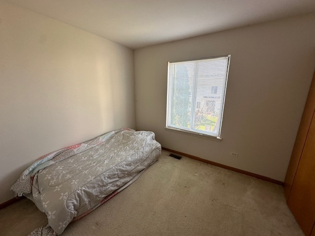 16668 W Adobe Drive, Lockport, IL 60441