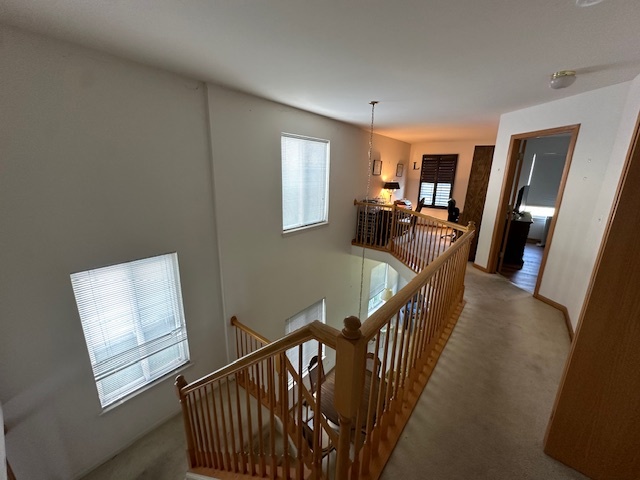 16668 W Adobe Drive, Lockport, IL 60441