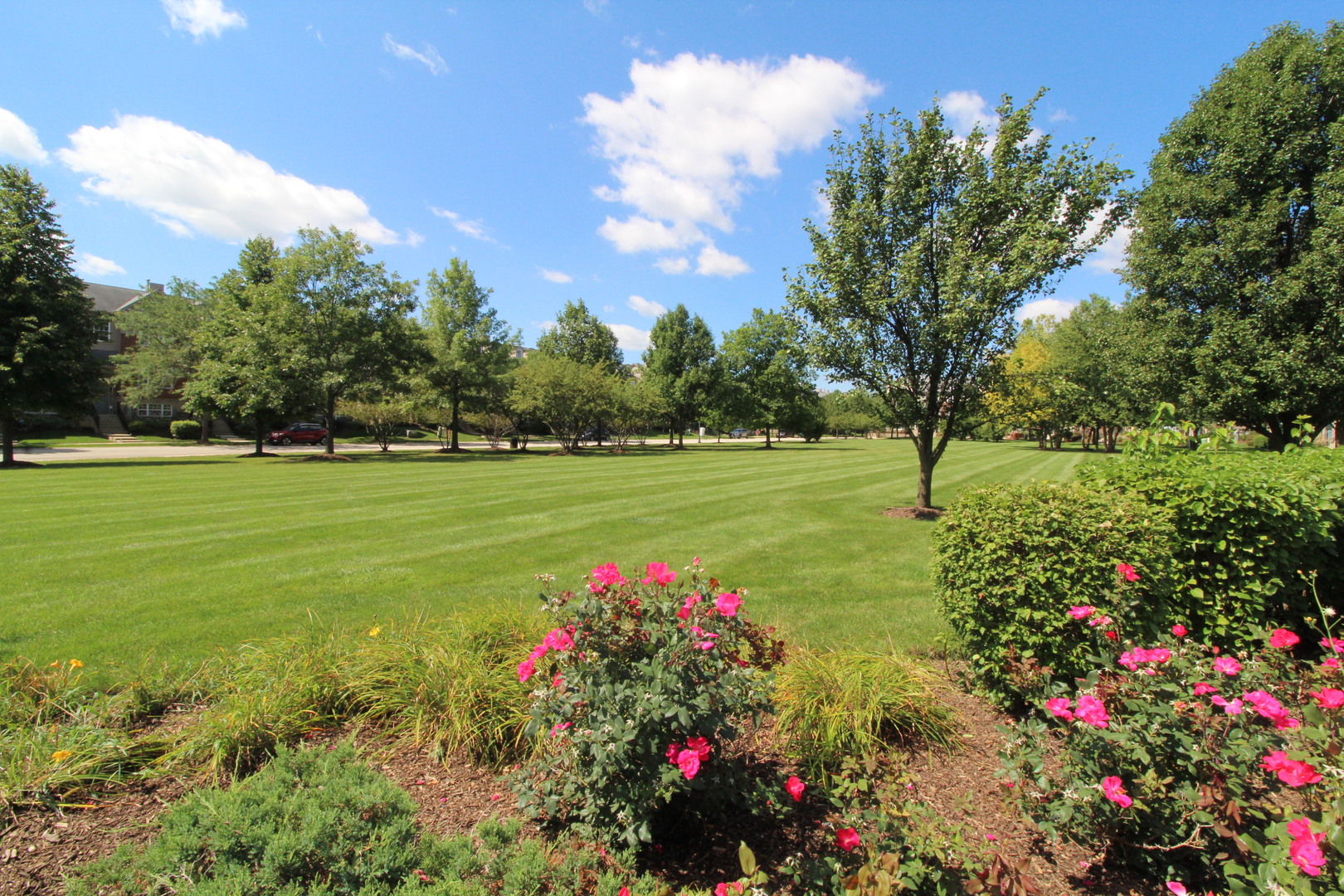 125 Station Park Circle #125, Grayslake, IL 60030