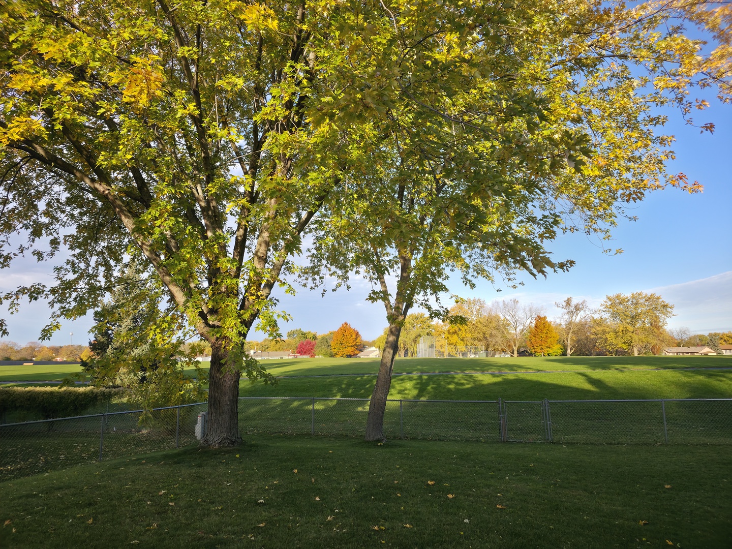 942 W Clearwater Street, Roselle, IL 60172