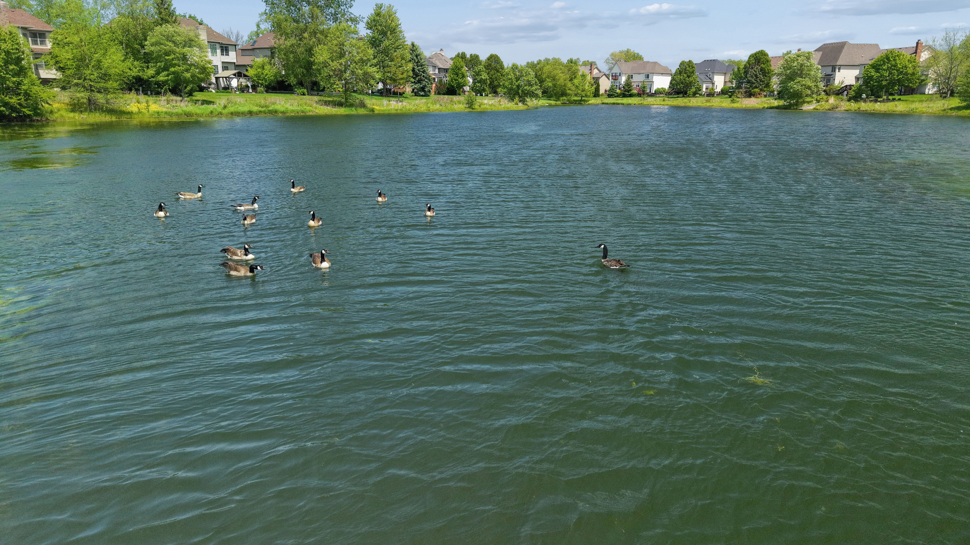3508 Redwing Court, Naperville, IL 60564