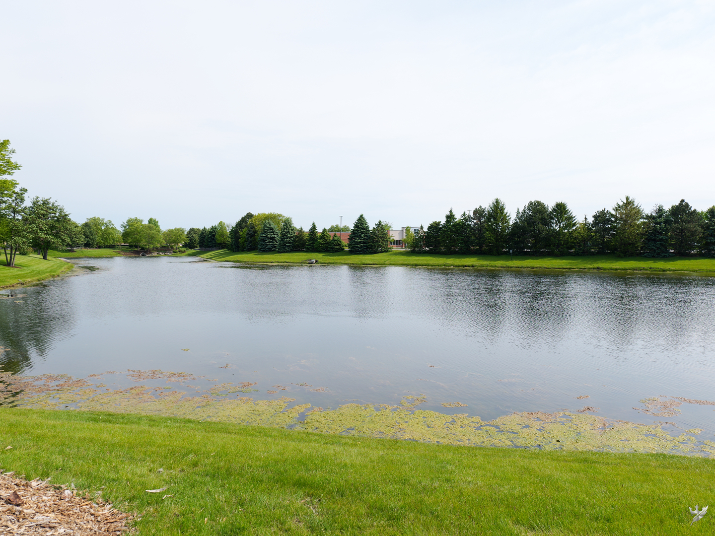13623 Eagles Perch Court, Plainfield, IL 60544