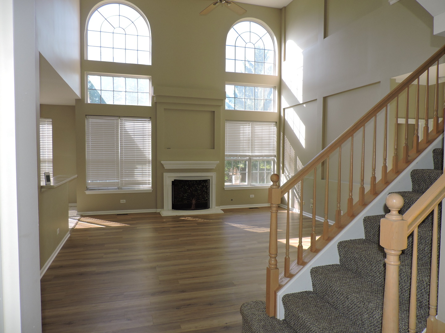 2906 Glenarye Drive, Lindenhurst, IL 60046