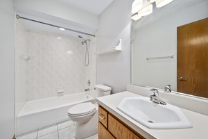 213 Fox Run Drive, Elwood, IL 60421