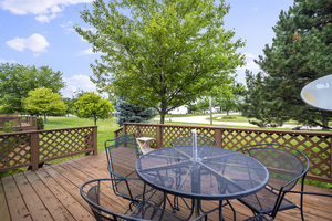 213 Fox Run Drive, Elwood, IL 60421