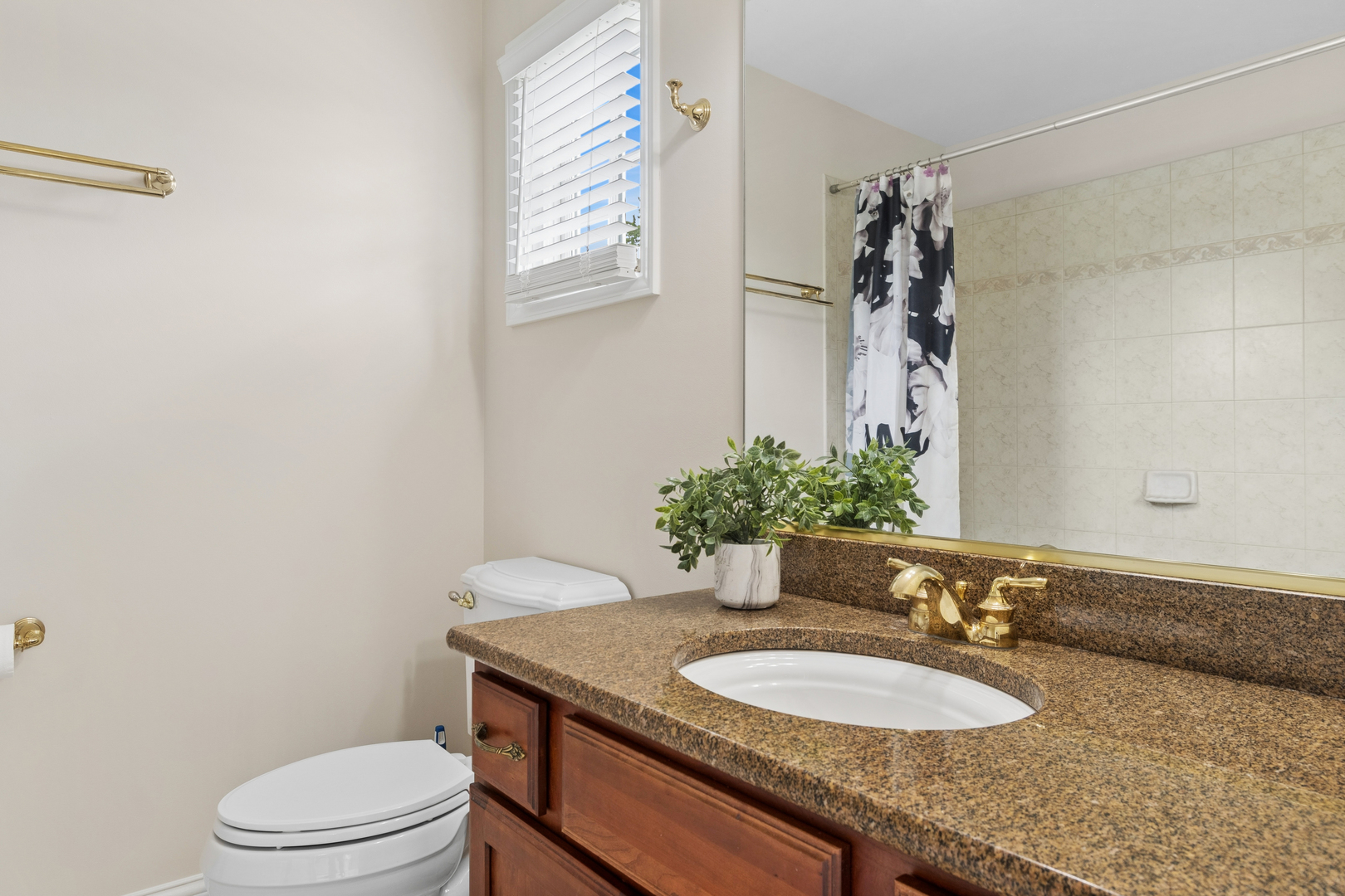 4147 Royal Mews Circle #204, Naperville, IL 60564