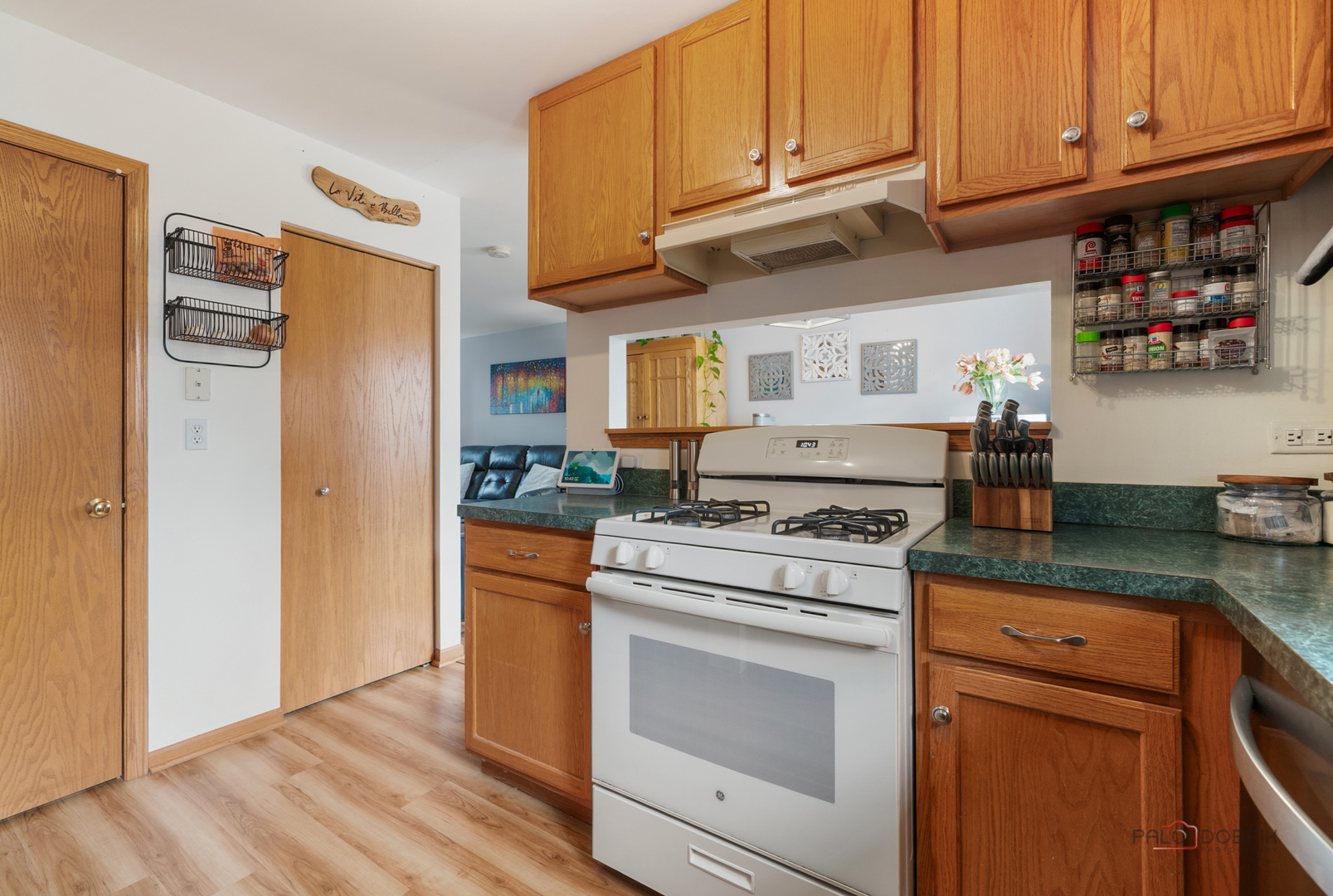 1123 Manchester Circle, Grayslake, IL 60030