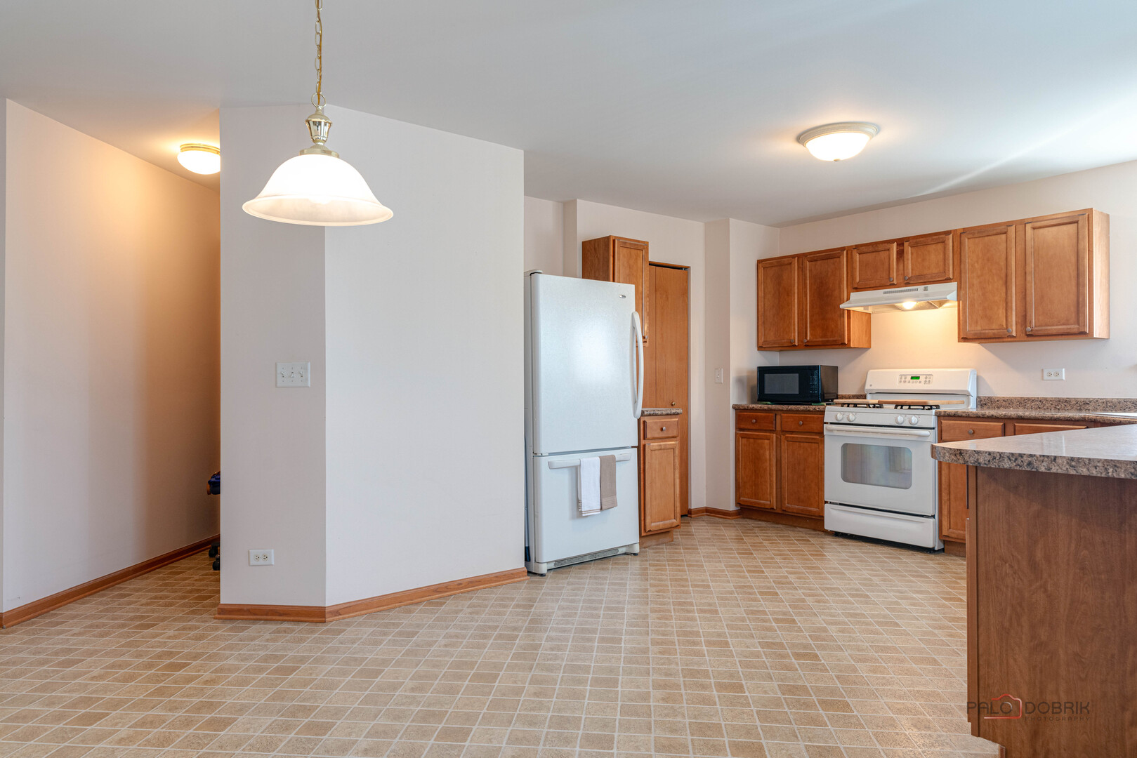 1094 Holly Drive, Antioch, IL 60002