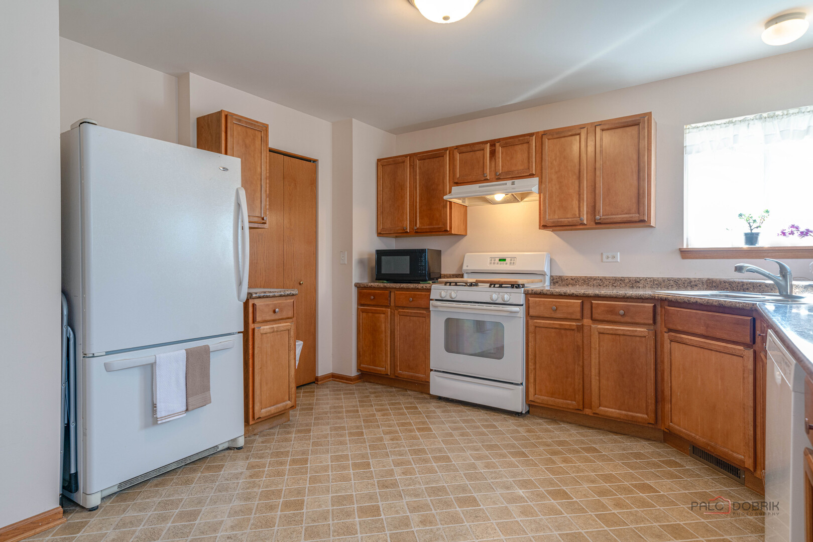 1094 Holly Drive, Antioch, IL 60002