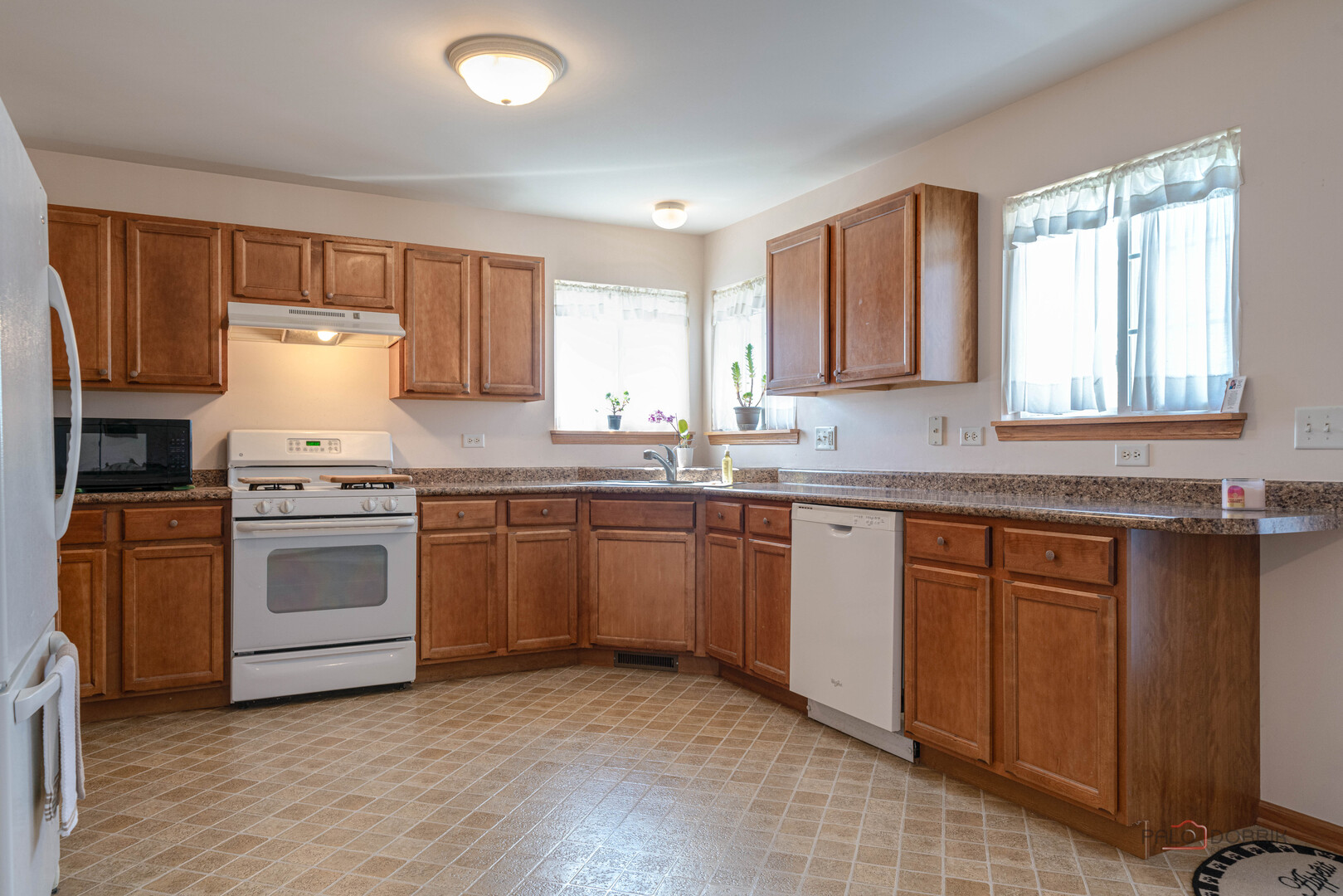 1094 Holly Drive, Antioch, IL 60002
