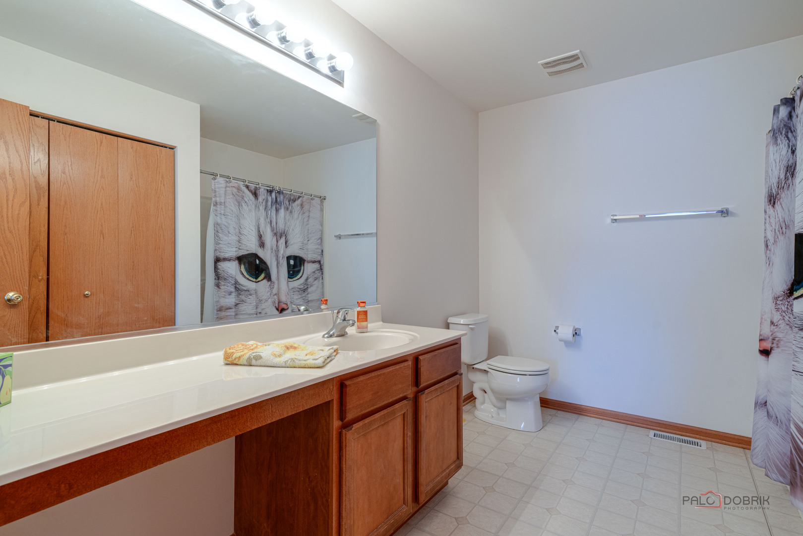 1094 Holly Drive, Antioch, IL 60002