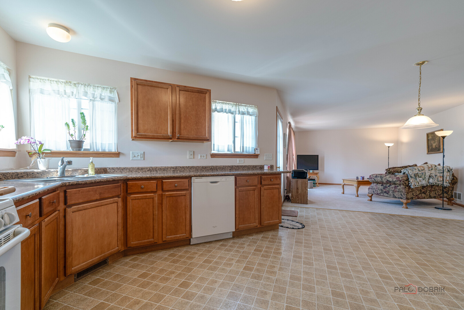 1094 Holly Drive, Antioch, IL 60002