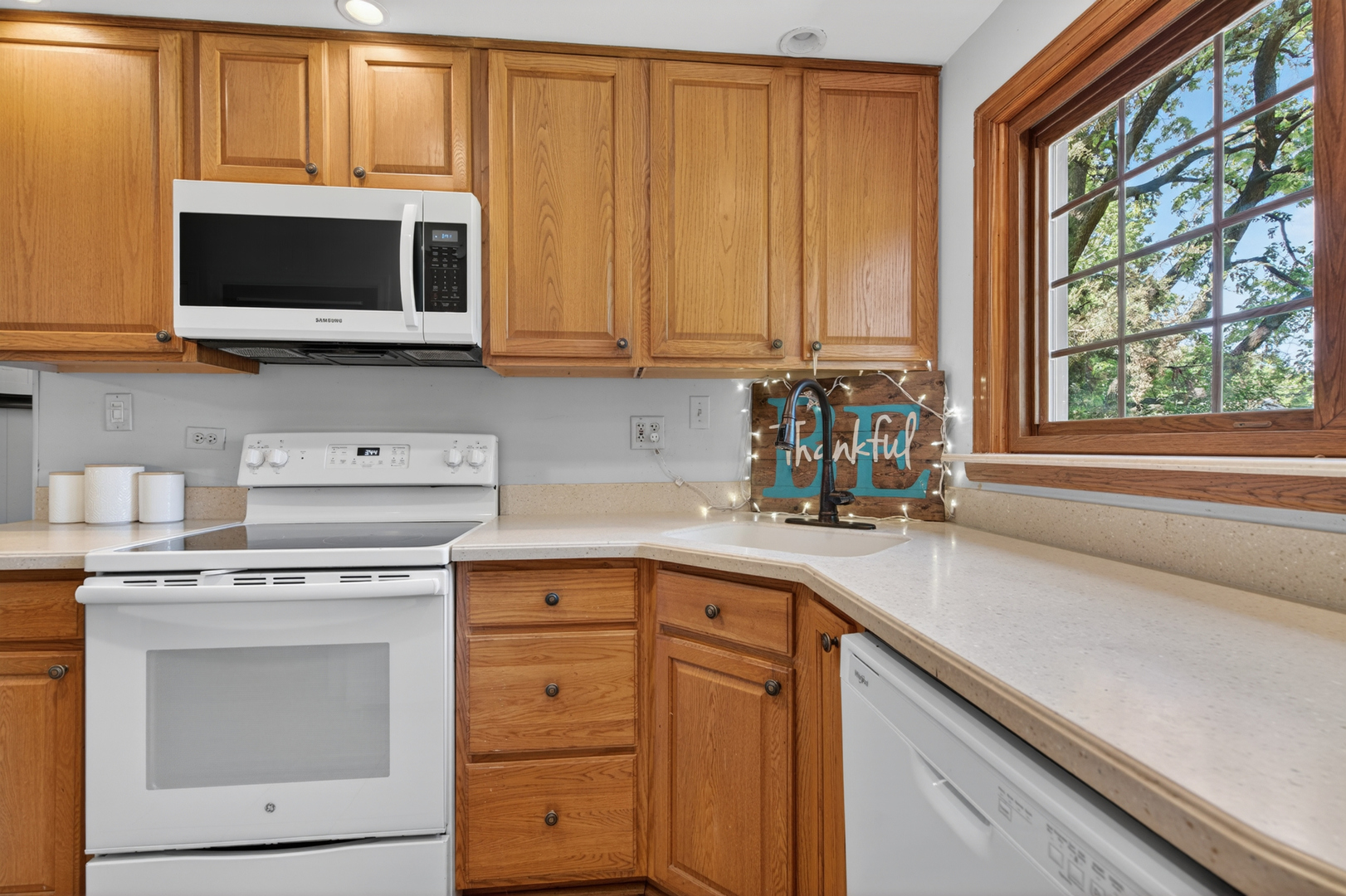 25223 S Fryer Street, Channahon, IL 60410