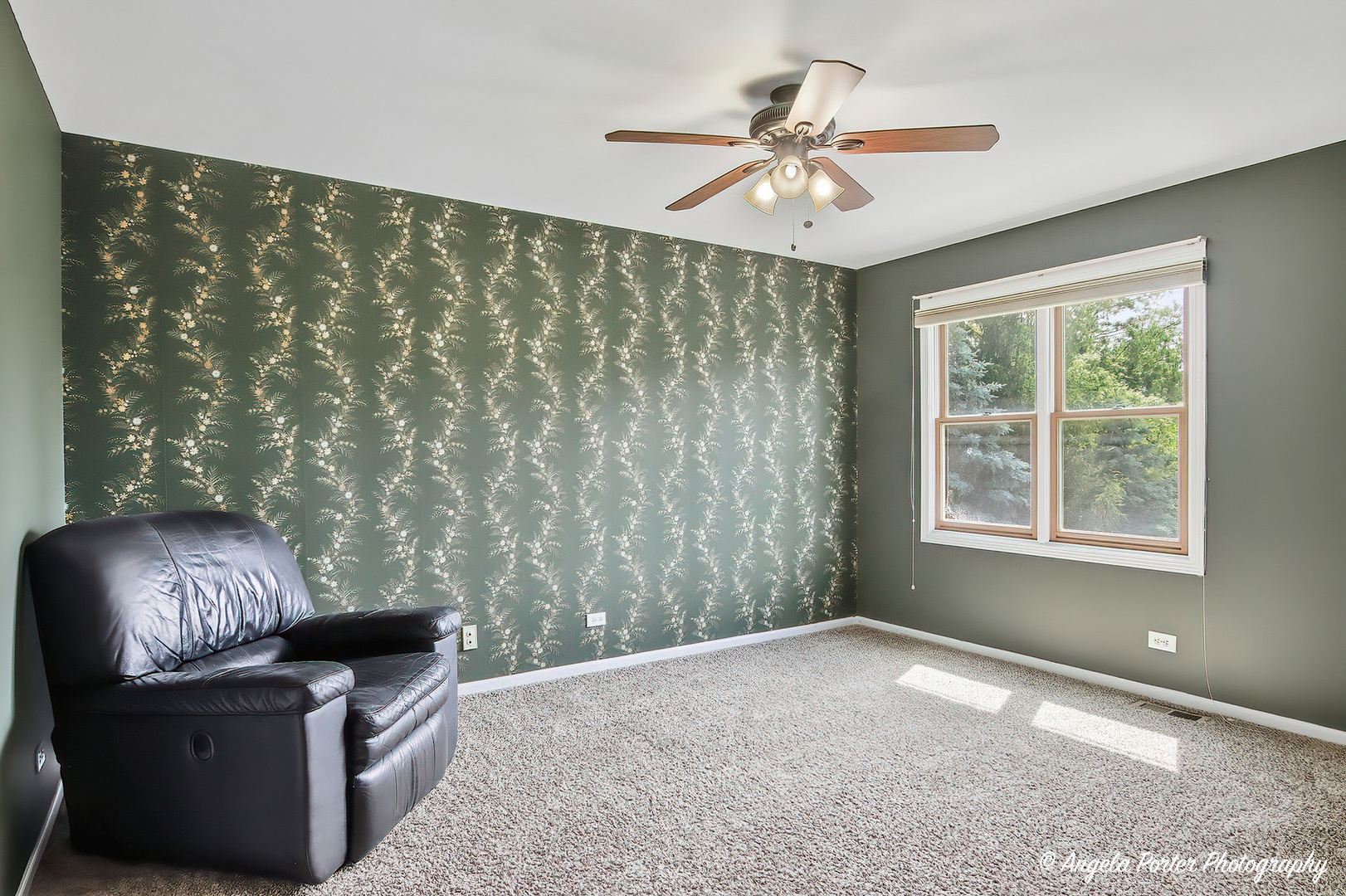 1717 Spruce Street, Spring Grove, IL 60081